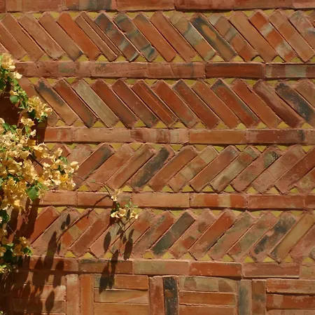 Riad Noga-2