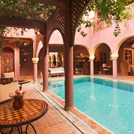 Riad Noga-3